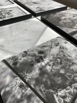 Entre-los-margenes-F1-scaled