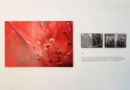 Tanto-y-mas-instalacion-scaled