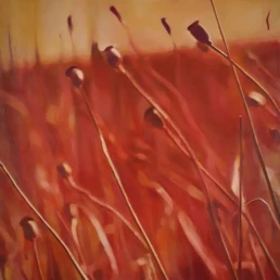 01_Fuera-de-campo_2020