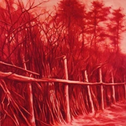 conciencia en llamas