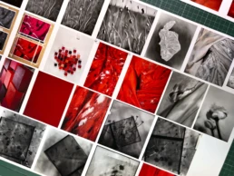 MerySales_Croma_32-1-scaled