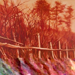 3-Conciencia-en-llama