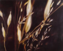 Arden-las-p&eacute;rdidas